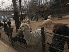 -大连森林动物园