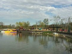 -上海长兴岛郊野公园