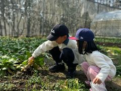 -前小桔亲子创意农场·草莓采摘·露营烧烤