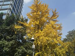 -和幸(春熙路群光广场店)