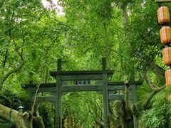 -杭州黄龙洞