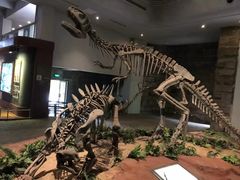 -自贡恐龙博物馆