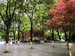-黔灵山公园