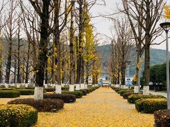 -百林公园-两江幸福广场