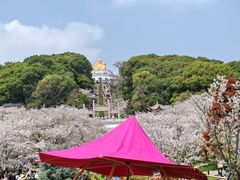 -苏州上方山国家森林公园