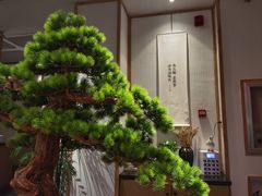 -瓦舍茶馆(聚源路店)