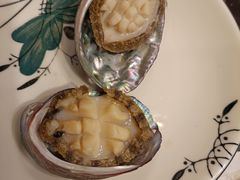 小鲍鱼-蔚海之都·象山蒸汽海鲜(仙霞路店)