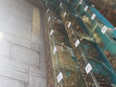 -晓伟海鲜家常菜