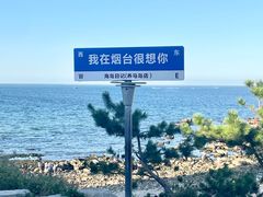 -养马岛旅游度假区