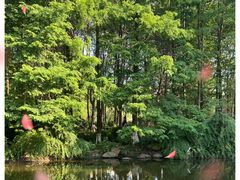 -苏州河梦清园环保主题公园