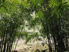 -平乐古镇