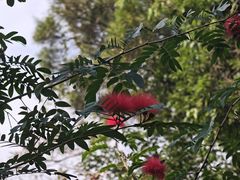 -三门江国家森林公园