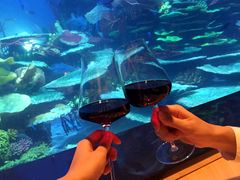 -迪拜帆船酒店海底餐厅