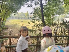 -合肥野生动物园