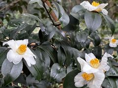 -敬亭山风景名胜区