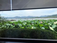 -湖畔居茶楼(湖滨店)