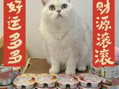 -帕帕拉兹宠物(亚洲旗舰店)