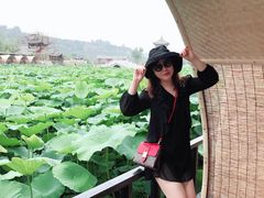 -渭南桃花源民俗文化园