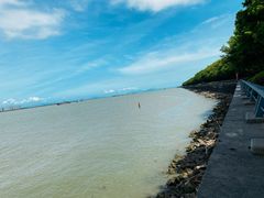 -大湾区中央湿地公园