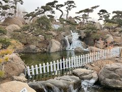 -罗红摄影艺术馆