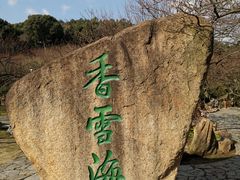 -香雪海