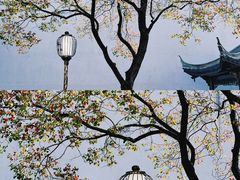 -老门东历史文化街区