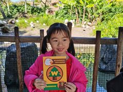 -奥兰多迪士尼动物王国乐园