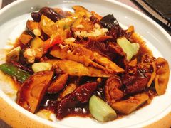 -羲和雅苑•北京烤鸭(平安国际金融中心店)