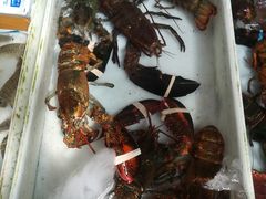 -大湾区中央湿地公园-十九涌