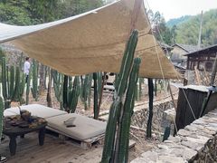 -MOJ coffee(瓯海泽雅水碓坑店)