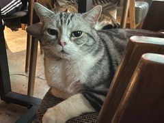 -咖法森林·咖啡  酒吧(天河店)