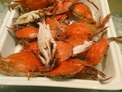 -瑞诗酒店西餐·咖啡厅