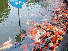 -南昌动物园