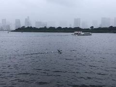 -台场海滨公园船码头