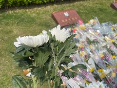 -上海市龙华烈士陵园