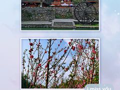 -常德桃花源景区