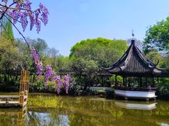-上海醉白池公园
