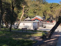 -阳台山自然风景区