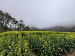 -广州市石门国家森林公园