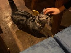 -BABANA烧烤·龙虾·海鲜