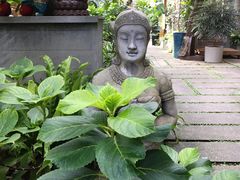 -谷咖啡·鲜花绿植花园餐厅