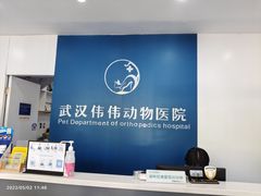 -伟伟宠物医院·CT影像中心·瑞派犬猫综合性门诊(汉口总院)