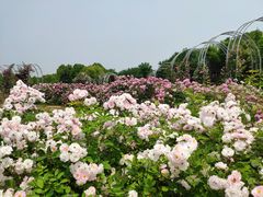 -尚贤河湿地