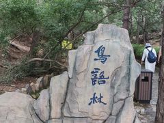 -燕塞湖鸟语林景区