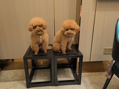 -忆江南·临江鱼馆