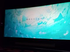 -首都电影院(天津店 中国巨幕)