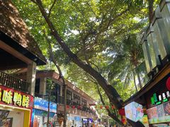 -海南分界洲岛旅游区