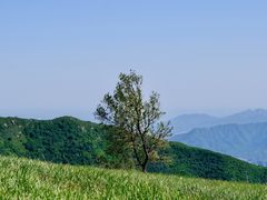 -妙峰山风景名胜区