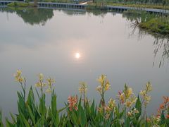 -海珠湖公园