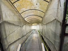 -七仙岭温泉国家森林公园
